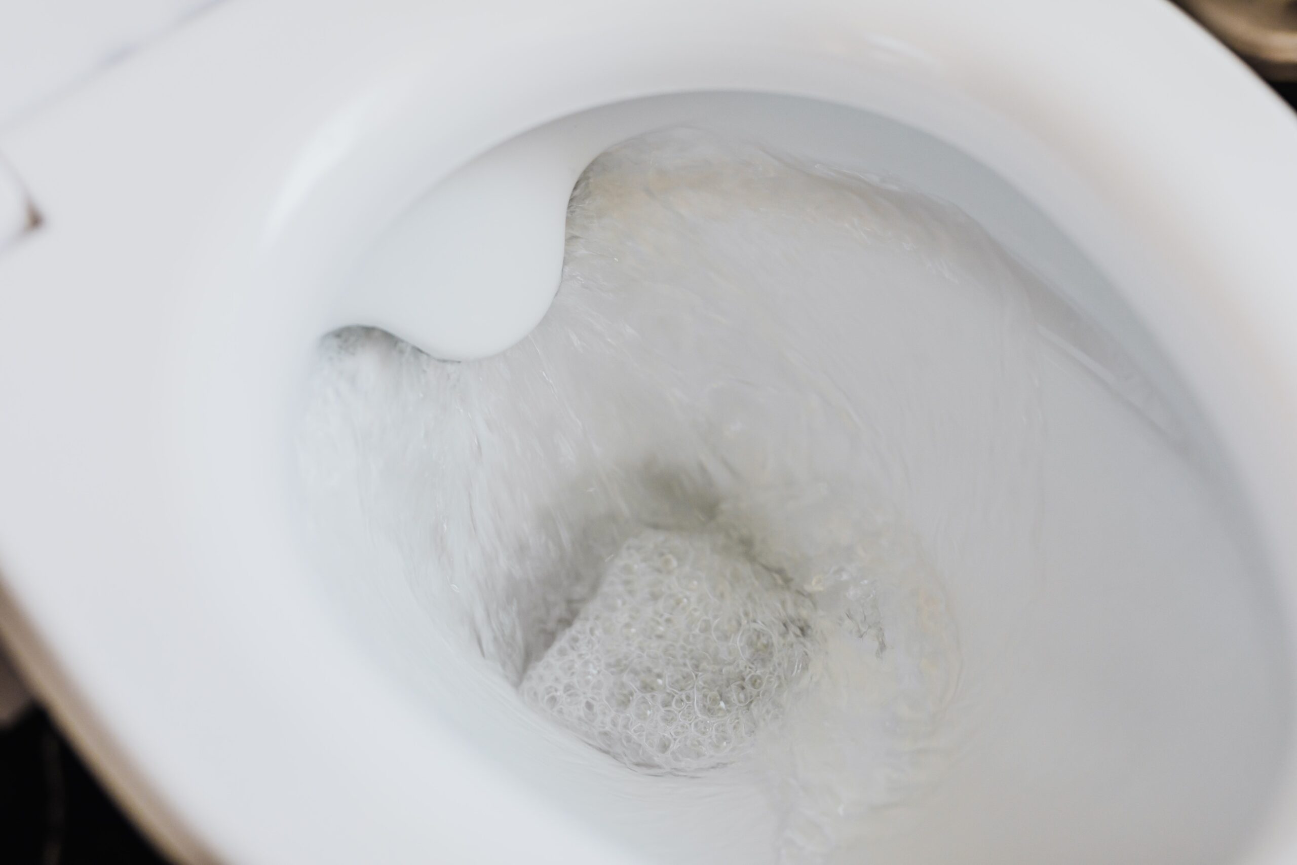 The Invisible Geyser: What Really Happens Every Time You Flush
